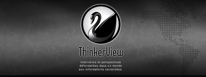 Bandeau Thinkerview  - 001